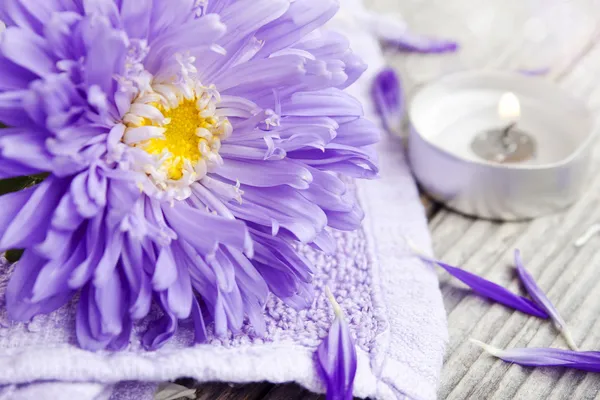 Spa flower — Stock Photo, Image