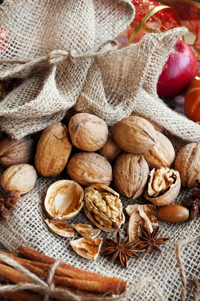 Vlašské ořechy sortiment s anýzem a skořicí — Stock fotografie