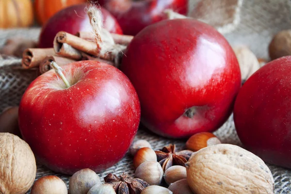 Červené podzimní jablka sortimentu closeup — Stock fotografie