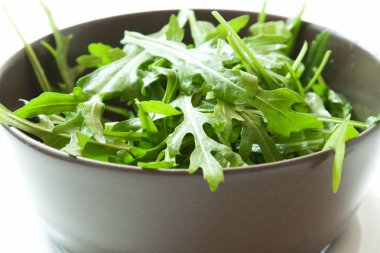 bir kase taze Roka Salatası