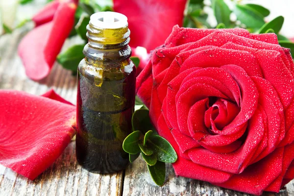 Roses Essential Oil Bottle — Stock Photo, Image