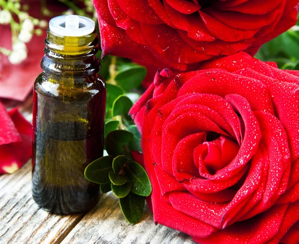 Roses Essential Oil Bottle — Stock Photo, Image