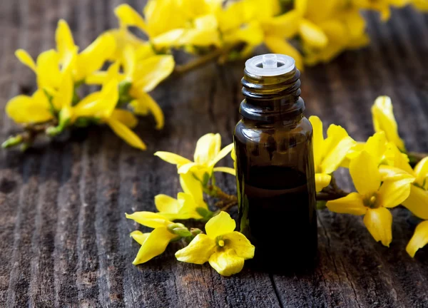 Základní oil.flower esence — Stock fotografie