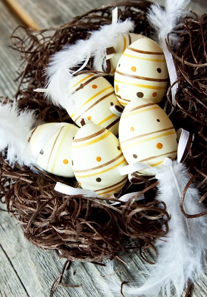 Пасхальные яйца в гнезде с перьями — стоковое фото