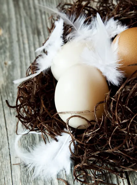 둥지에 섬세 한 깃털을 가진 부활절 달걀 — 스톡 사진