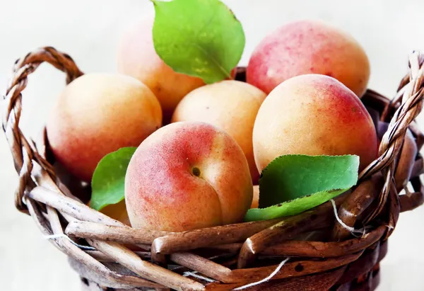 Apricots in a Basket — Stock Photo, Image
