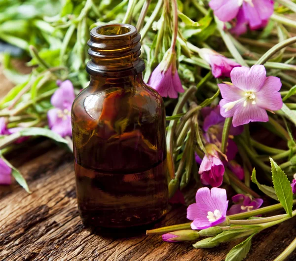 Herbal Essence Bottle — Stock Photo, Image