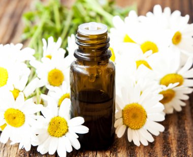 Chamomile Essence with Flowers clipart