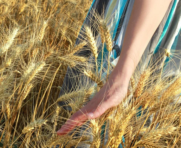 Female farmer and wheat land — Stock Photo, Image