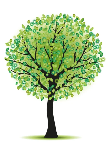 Beleza árvore verde —  Vetores de Stock