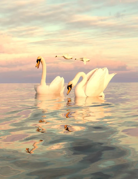 Two swans swimming and two swans flying over water illustration