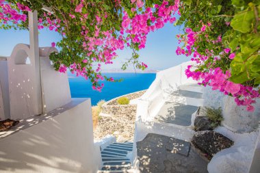 Europe summer destination. Traveling concept, sunny scenic famous landscape of Santorini island, Oia, Greece. Caldera sea view, blue sunny sky dream cityscape. Vacation panorama, amazing outdoor scene