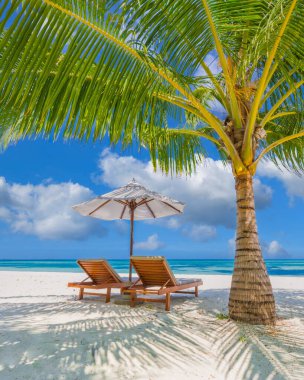 Tropikal plaj doğası yaz manzarası gibi şezlonglar, palmiye ağaçları ve plaj pankartları için sakin denizler. Lüks seyahat manzarası, tatil ya da tatil için güzel bir yer. Plaj sahnesi