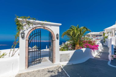 Europe summer destination. Traveling concept, sunny scenic famous landscape of Santorini island, Oia, Greece. Caldera sea view, blue sunny sky dream cityscape. Vacation panorama, amazing outdoor scene