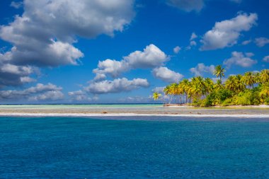 Maldives island beach. Tropical landscape of summer scenery