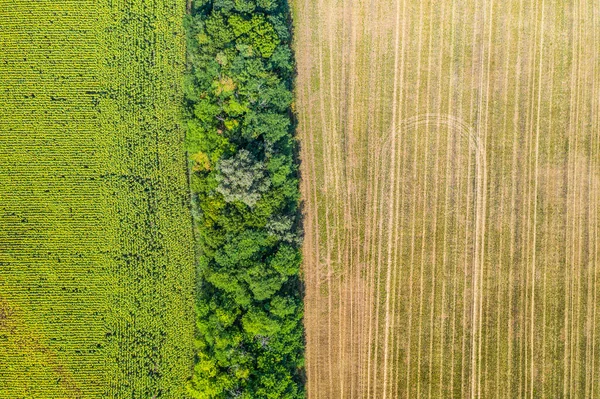 Aerial view of agricultural fields. Aerial top view photo from flying drone of a land with sown green fields in countryside in spring day. Agriculture landscape with grown plants