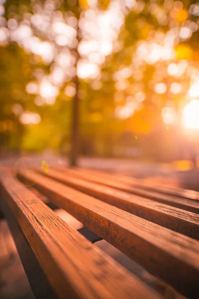 Banco Del Parque Otoño Recreación Paisaje Urbano Otoño Atardecer Relajante — Foto de Stock