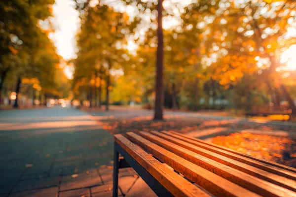 Outono Banco Parque Queda Recreação Paisagem Urbana Calmo Relaxante Pôr — Fotografia de Stock