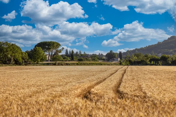 Καταπληκτική Θέα Στη Φύση Ηλιοβασίλεμα Ανατολή Του Ηλίου Ένα Χωράφι — Φωτογραφία Αρχείου