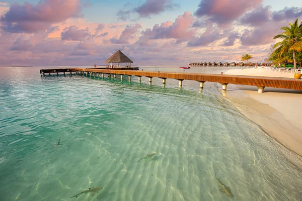 Tropik Sahil Manzarası Deniz Manzarası Lüks Villası Ahşap Iskele Yaz — Stok fotoğraf