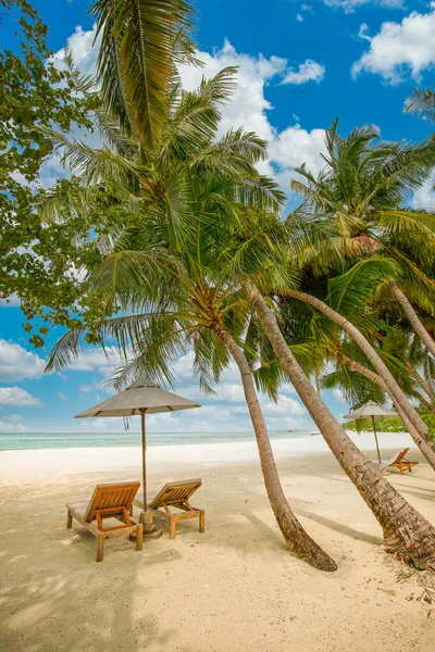 Sedie Sulla Spiaggia Sabbia Vicino Mare Vacanza Estiva Concetto Vacanza — Foto Stock