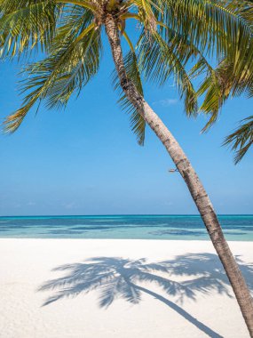 En iyi yaz sahili manzarası. Sakin tropikal ada, cennet kıyısı, deniz lagünü, ufuk, palmiye ağaçları ve kum dalgaları üzerinde güneşli gökyüzü. İnanılmaz bir tatil manzarası geçmişi var. Güzel tatil plajı