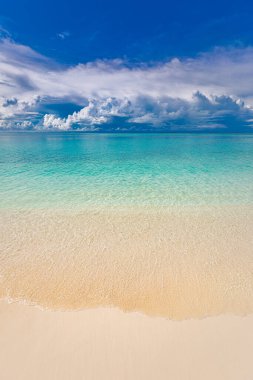 En iyi yaz sahili manzarası. Sakin tropikal ada, cennet kıyısı, deniz lagünü, ufuk, palmiye ağaçları ve kum dalgaları üzerinde güneşli gökyüzü. İnanılmaz bir tatil manzarası geçmişi var. Güzel tatil plajı