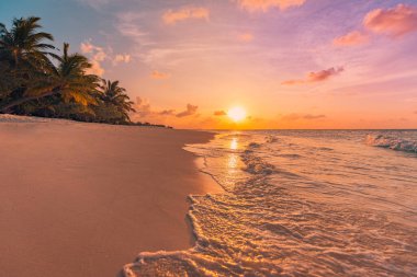Gün batımı deniz manzarası. Renkli okyanus plajı gündoğumu. Sakin dalgaları ve yumuşak kumlu plajı olan güzel bir sahil manzarası. Boş tropikal manzara, manzaralı ufuk. Renkli doğa deniz göğü
