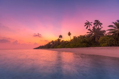 Gün batımı deniz manzarası. Renkli okyanus plajı gündoğumu. Sakin dalgaları ve yumuşak kumlu plajı olan güzel bir sahil manzarası. Boş tropikal manzara, manzaralı ufuk. Renkli doğa deniz göğü