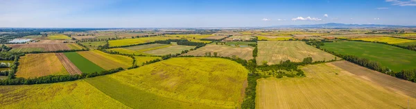 Aerial view of agricultural fields. Aerial top view photo from flying drone of a land with sown green fields in countryside in spring day. Agriculture landscape with grown plants