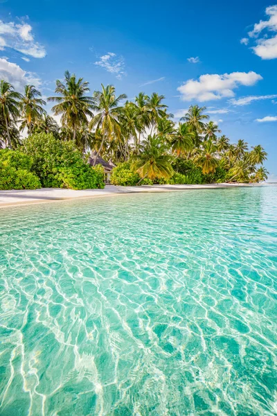 Best Summer Beach Landscape Tranquil Tropical Island Paradise Coast Sea — Stock Photo, Image