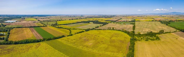 Aerial view of agricultural fields. Aerial top view photo from flying drone of a land with sown green fields in countryside in spring day. Agriculture landscape with grown plants