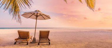 Tropik plaj günbatımı yaz manzarası lüks tatil köyü palmiye salıncak hamağı, gün batımı sahili manzarası için kumsal kıyısı.
