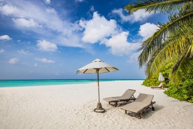 Tropik plaj günbatımı yaz manzarası lüks tatil köyü palmiye salıncak hamağı, gün batımı sahili manzarası için kumsal kıyısı.