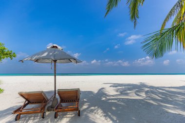 Tropikal adada şemsiyeli ve sandalyeli güzel sahil