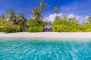 Yaz manzarasının tropik manzarası, palmiye ağaçlı beyaz kum. Lüks seyahat tatil beldesi. 