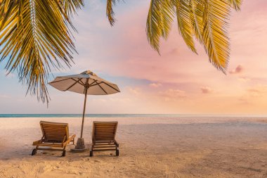 Tropik plaj günbatımı yaz manzarası lüks tatil köyü palmiye salıncak hamağı, gün batımı sahili manzarası için kumsal kıyısı.