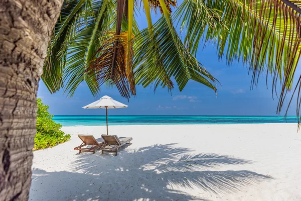 Tropisk Strandsolnedgang Som Sommerlandskap Med Luksusstrandhammock Strandstrand Til Solnedgang – stockfoto