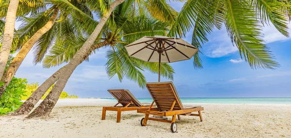 Tropisk Strandsolnedgang Som Sommerlandskap Med Luksusstrandhammock Strandstrand Til Solnedgang – stockfoto
