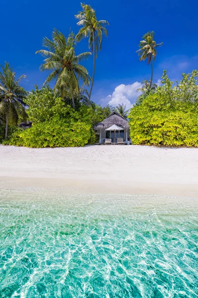 Tropische Sommerlandschaft Weißer Sand Mit Palmen Luxusreiseziel — Stockfoto