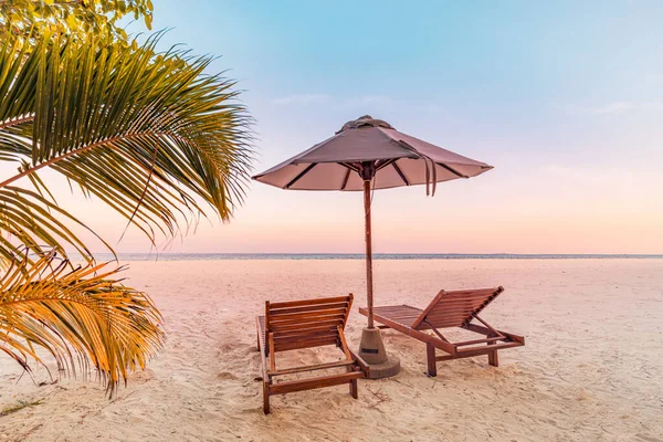 热带海滩落日作为夏季风景与豪华度假海滩棕榈吊床 沙滩海滨落日海滩景观 — 图库照片
