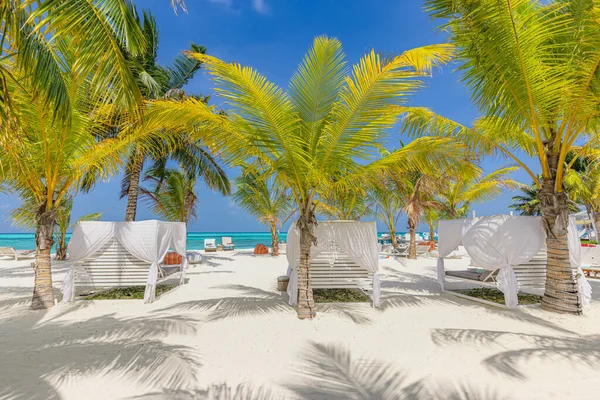 Tropical Beach Sunset Summer Landscape Luxury Resort Beach Palm Swing — Stock Photo, Image