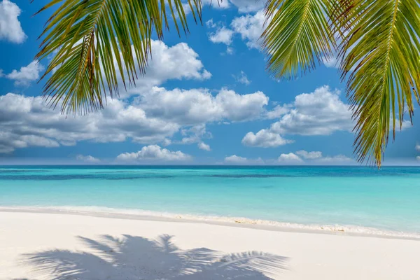 热带的夏季风景 白色的沙地上有棕榈树 豪华旅行目的地 — 图库照片