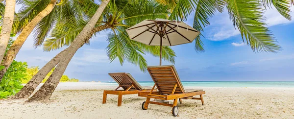 Tropisk Strandsolnedgang Som Sommerlandskap Med Luksusstrandhammock Strandstrand Til Solnedgang – stockfoto