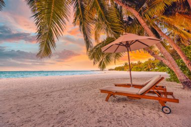Güneşin batışında şemsiyeli ve sandalyeli güzel tropikal plaj