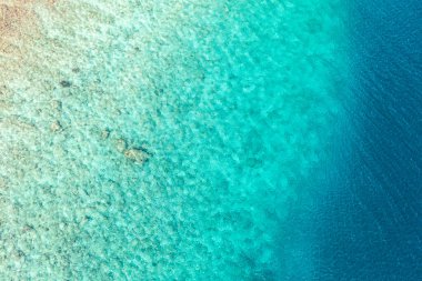 Mavi suyu olan güzel tropikal plaj