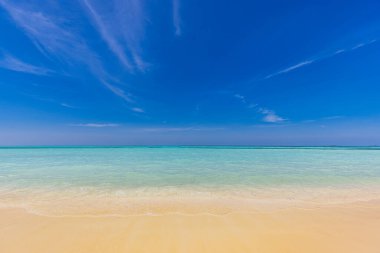 Güneşli bir günde güzel tropikal deniz plajı