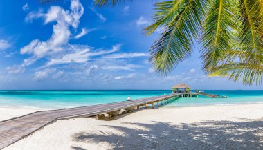 Uzun iskeleli güzel tropikal plaj