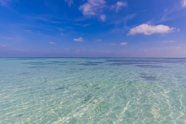 Vacker Tropisk Strand Med Blå Himmel — Stockfoto