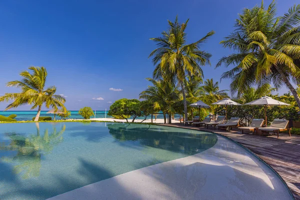 Hermoso Complejo Tropical Hotel Con Piscina — Foto de Stock